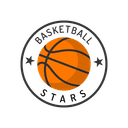 Basketball Stars NY logo